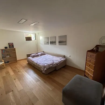 Apartment Spacieux Proche De Morges Et Lausanne *