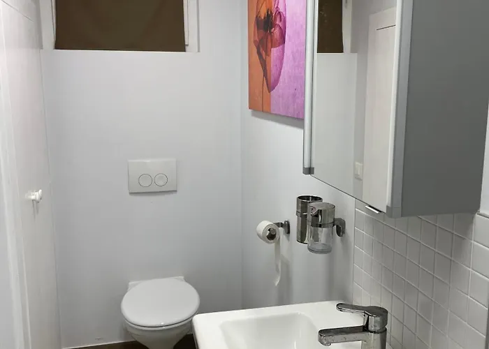 アパート Spacieux Proche De Morges Et Lausanne *