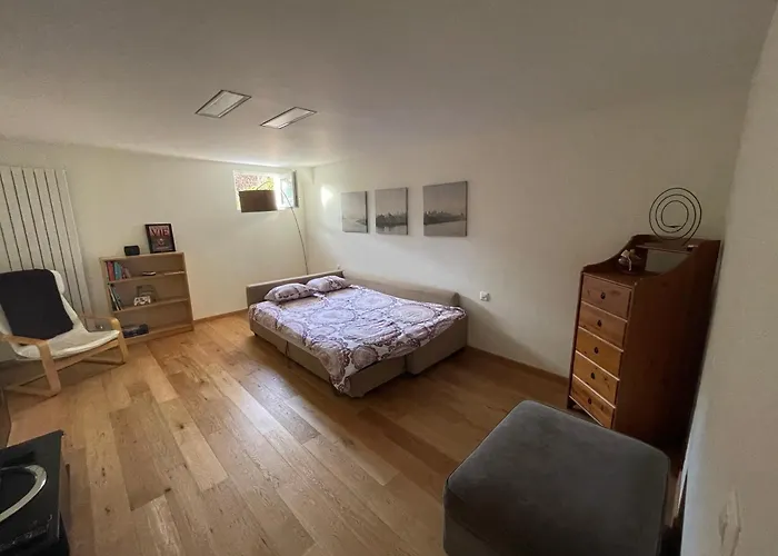 アパート Spacieux Proche De Morges Et Lausanne *